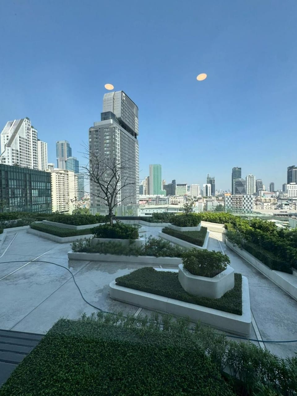 Day, Natural landscape, Garden, City view, Garden view