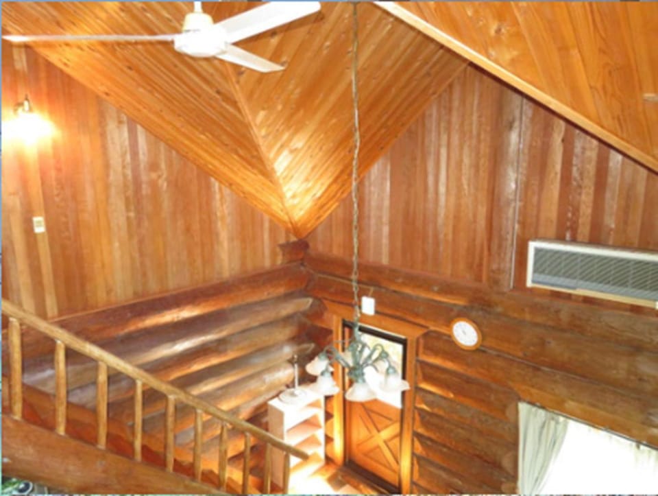 Area and facilities