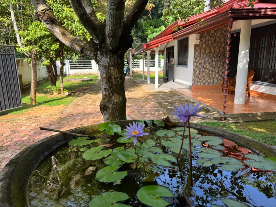 The Cosy Lookout Thalalla House in Southern Province