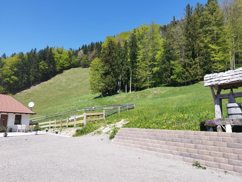 Natural landscape