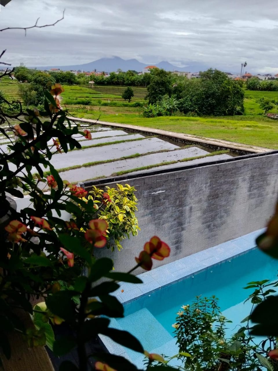 Keiko Guest House Canggu Bed and Breakfast in North Kuta