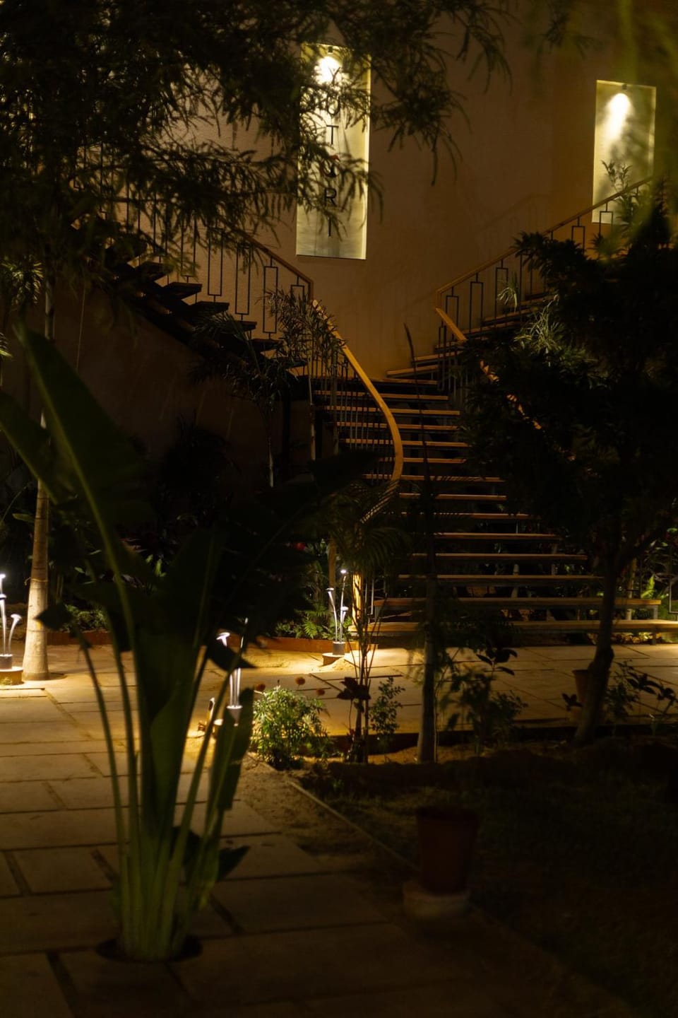 Night, Garden view