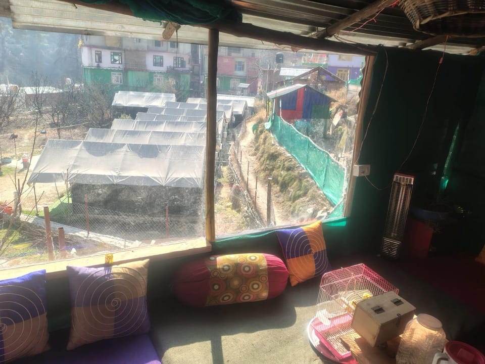 Welcome Cafe Bed and Breakfast in Himachal Pradesh