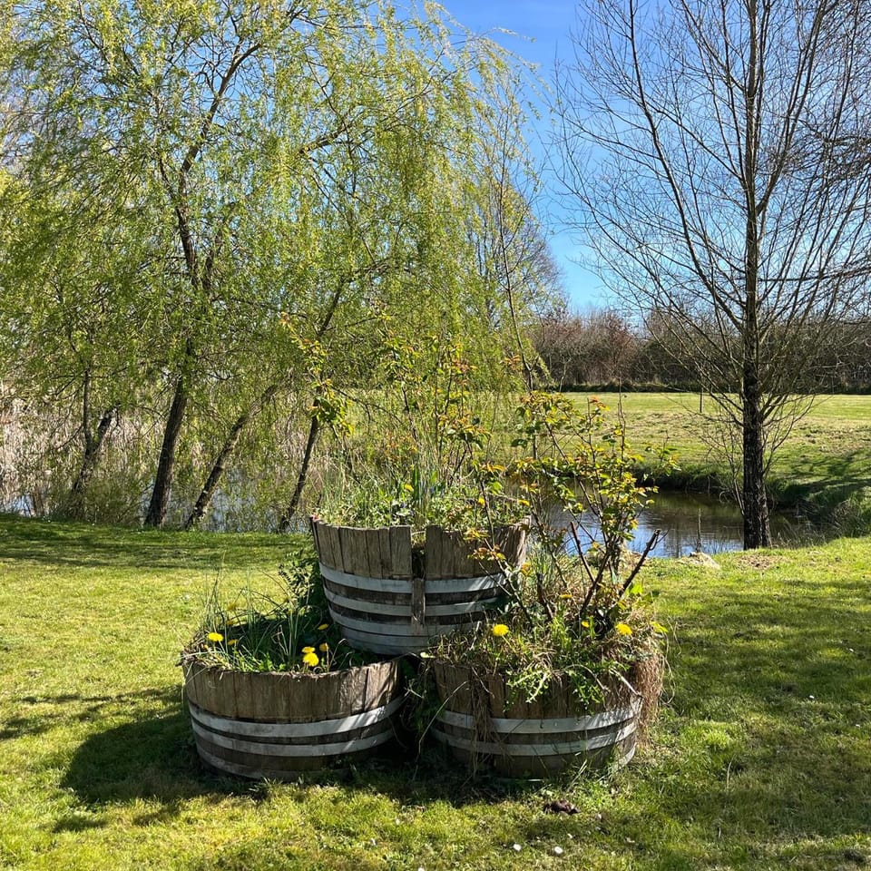 Garden, Garden