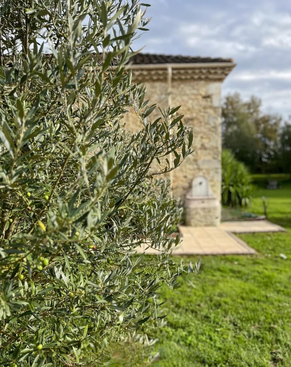 Garden, Garden