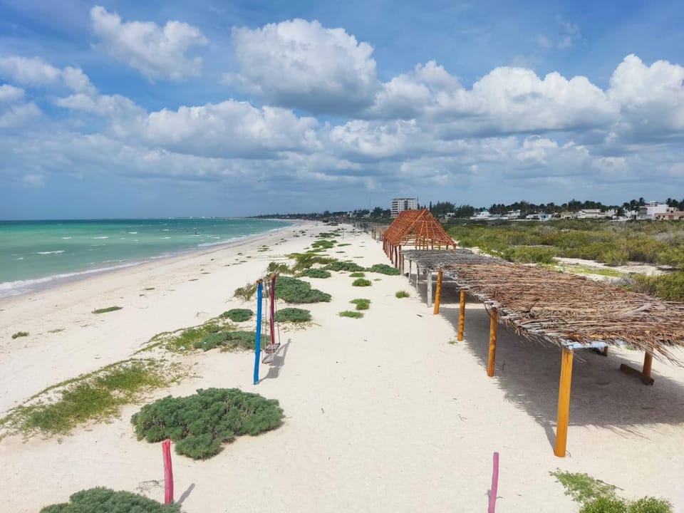 Container House Bed and Breakfast in State of Yucatan