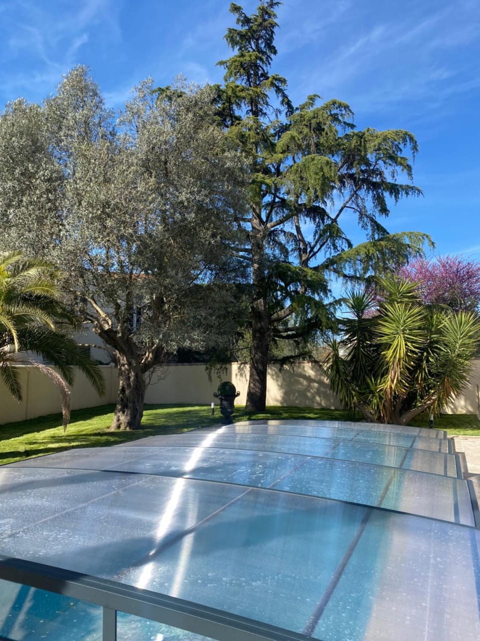 Garden, Swimming pool