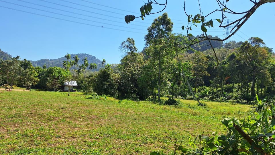 Meesaeng Homestay Resort in Thep Krasatti