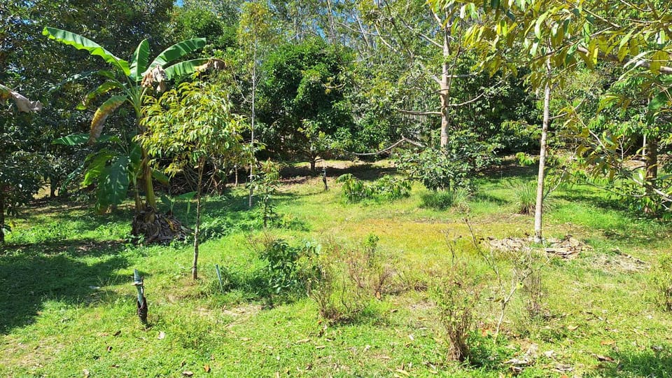 Meesaeng Homestay Resort in Thep Krasatti