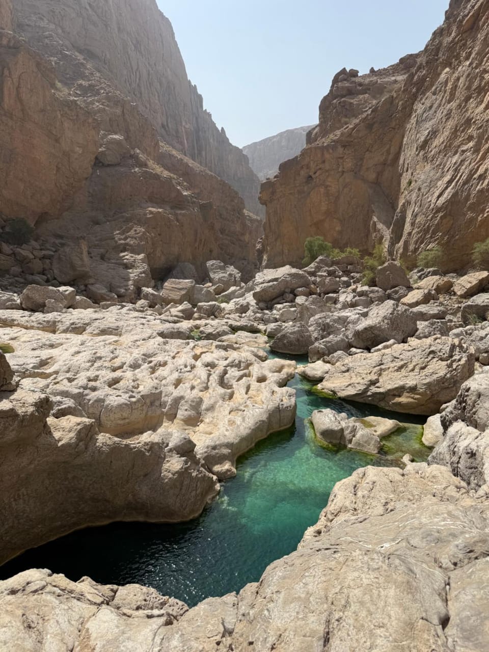 Wadi hawer tour guiding and local farm tour Docked boat in Oman