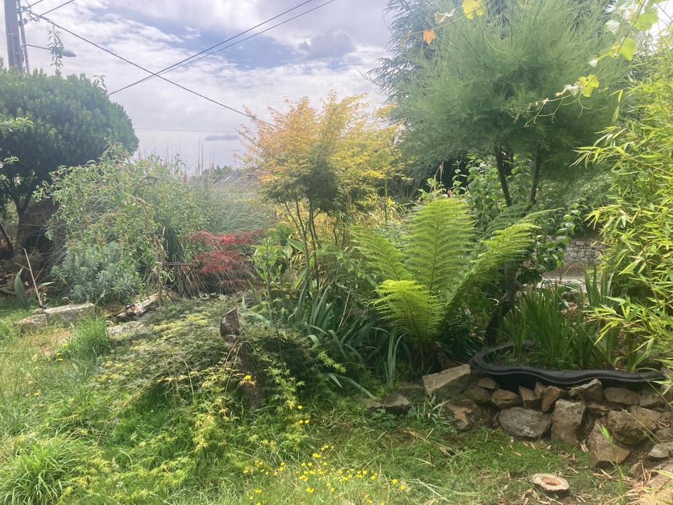 Garden view