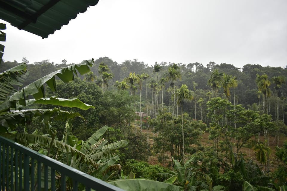 Rays Of Bliss Boutique Resort Resort in Kerala