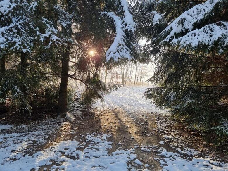 Winter, Lake view