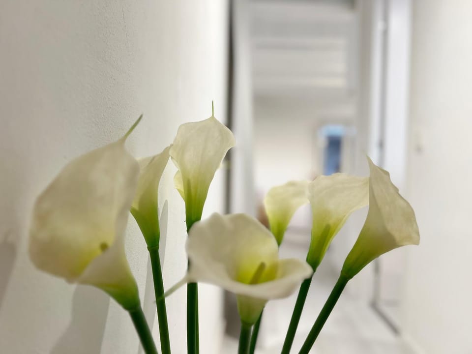 Key White Apartment in Barcelona