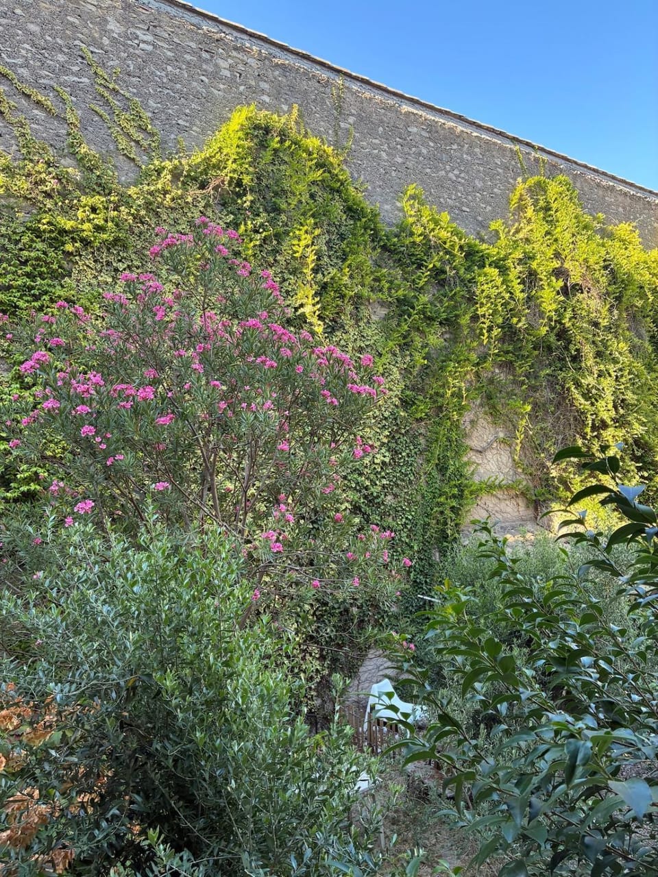 Garden view