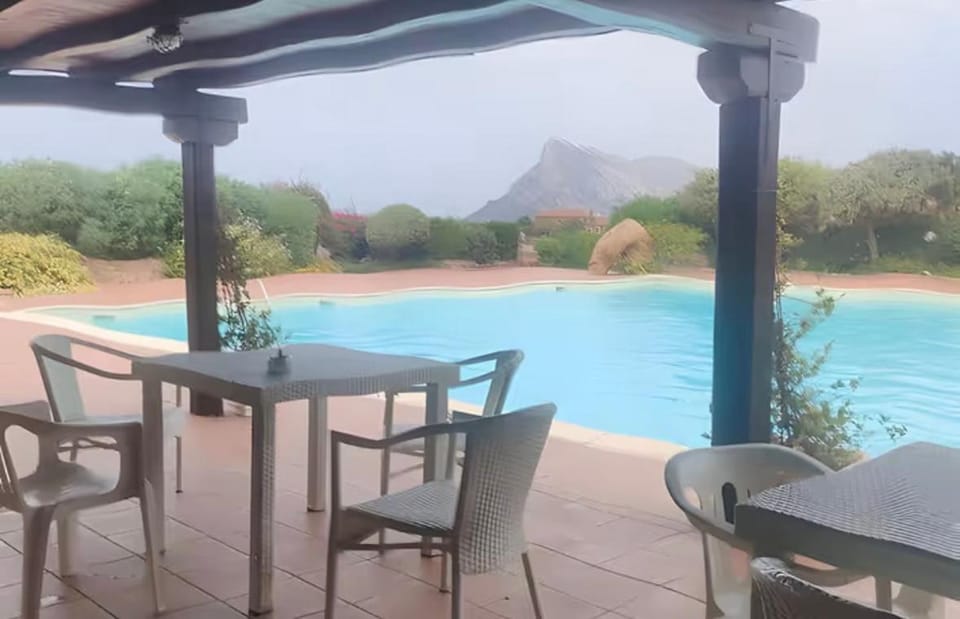 Patio, Swimming pool, sunbed