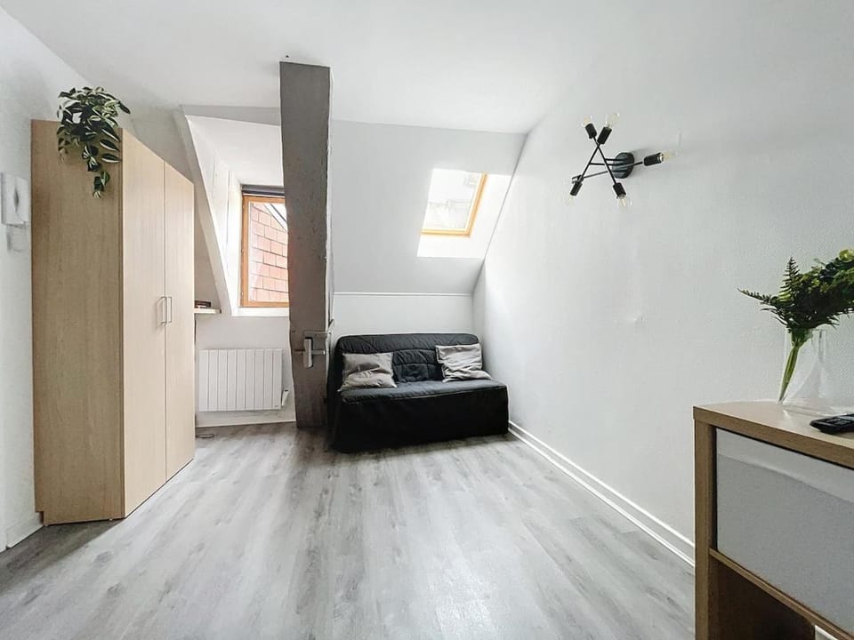 Le Petit Jules Apartment in Dijon