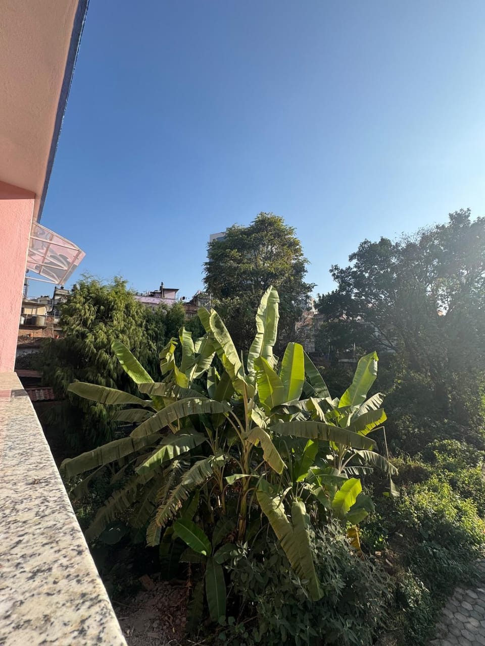 Balcony/Terrace