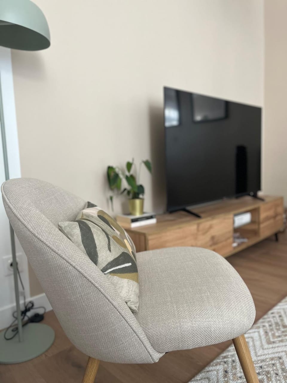 TV and multimedia