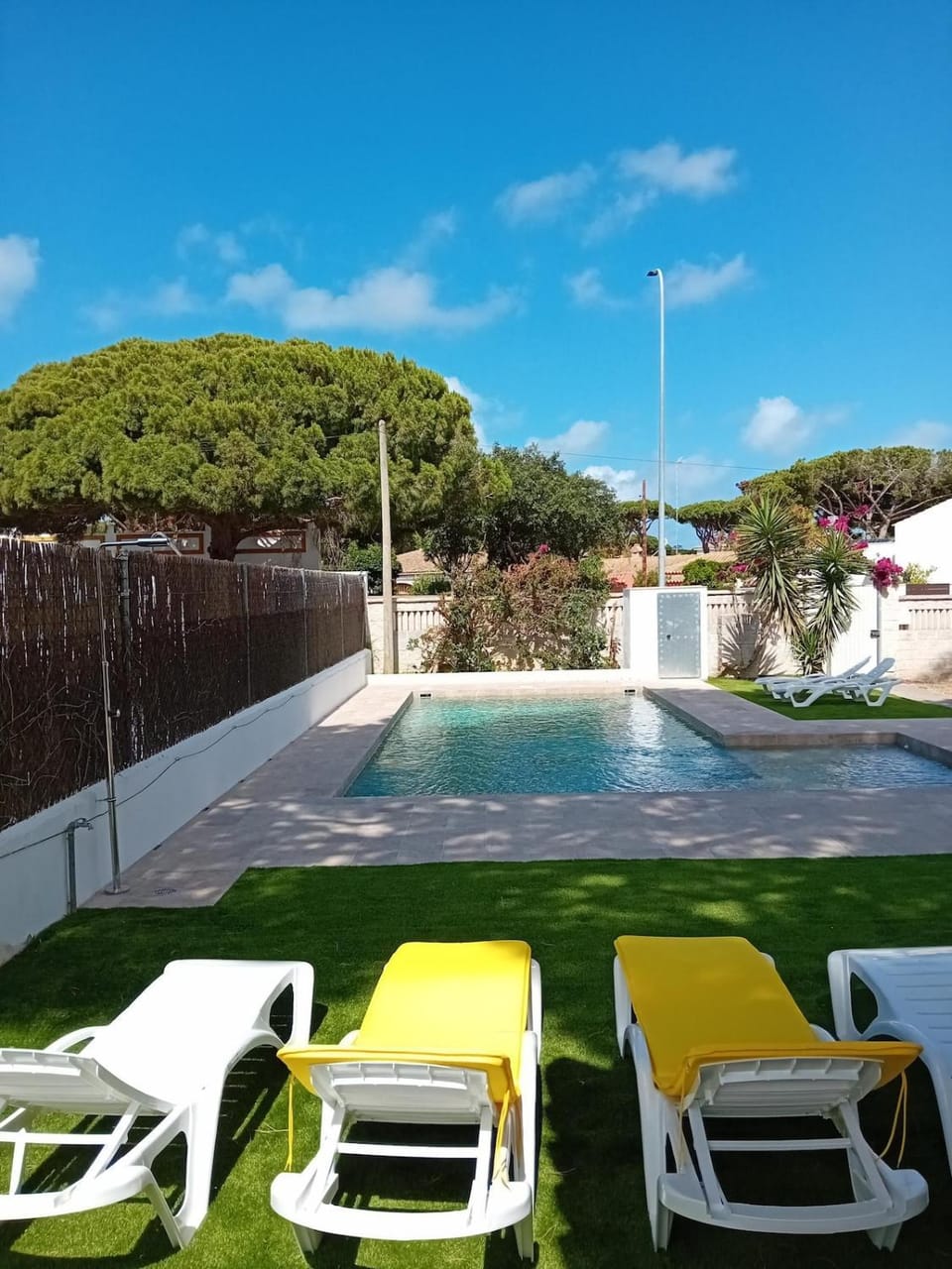 Garden view, Pool view, Swimming pool, Swimming pool, sunbed