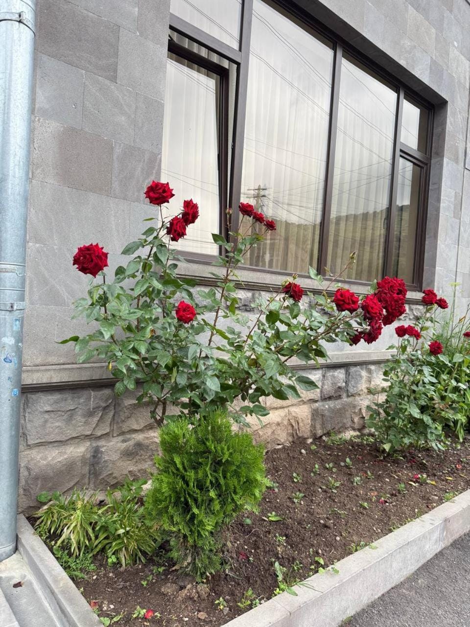 Elen Apartment Goris Apartment in Armenia
