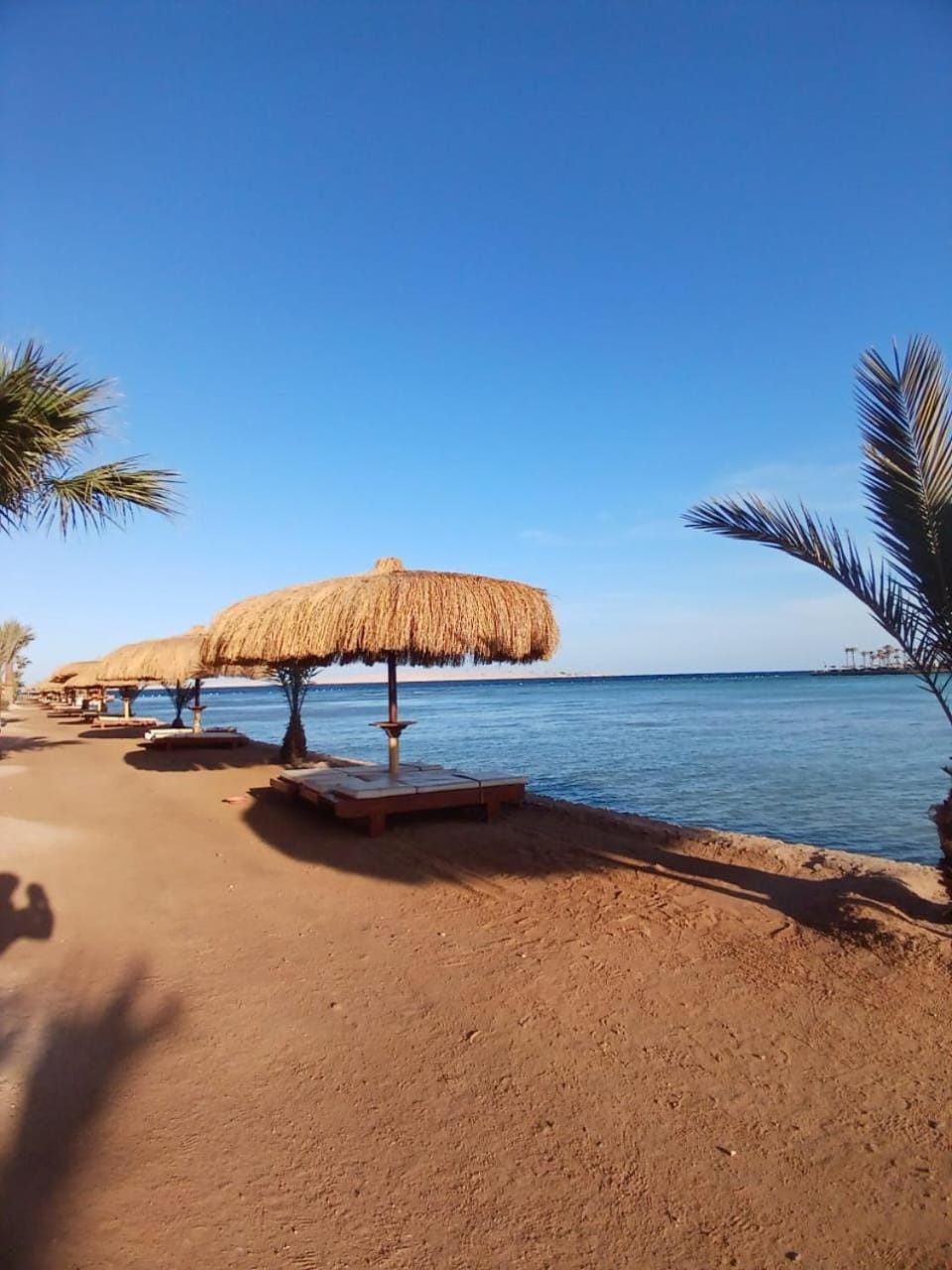 Hurghada Tiba Golden Beach Resort Down Town Apartment hotel in Hurghada