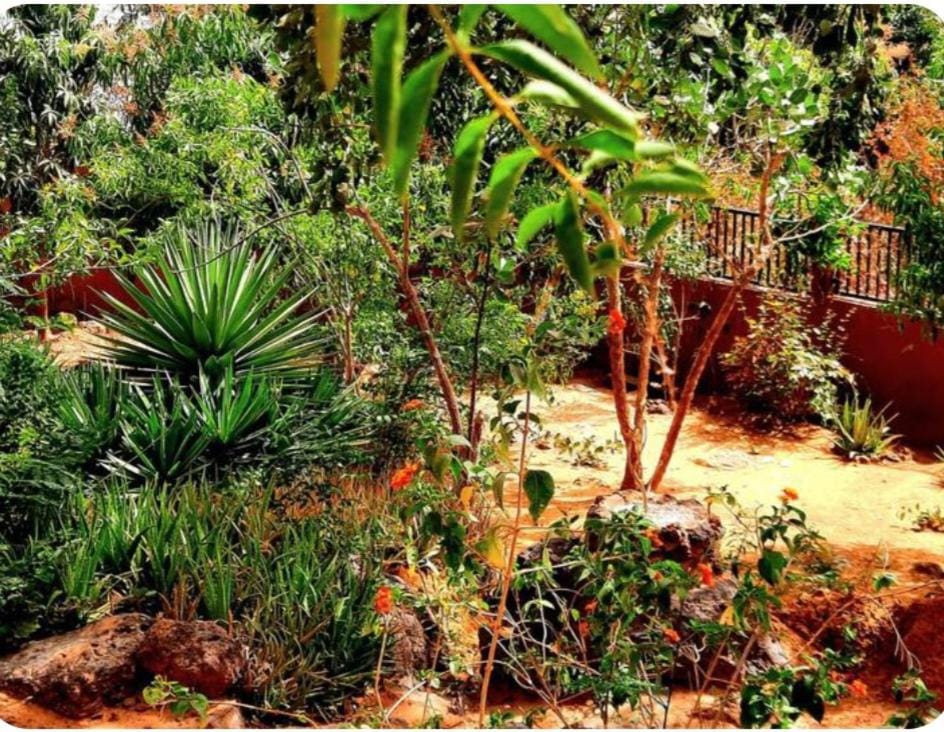 Villa AfricaSolly Apartment in Thiès Region, Senegal