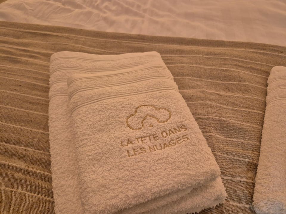 La tete dans les nuages - Chez Céleste Apartment in Charleroi