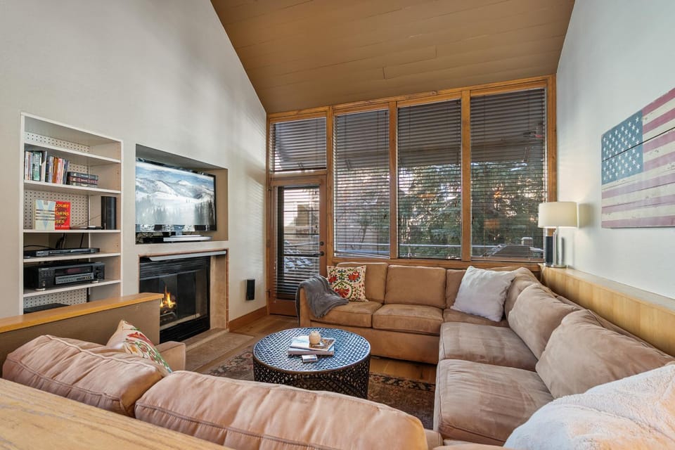 Day, Library, TV and multimedia, Living room, fireplace, furniture