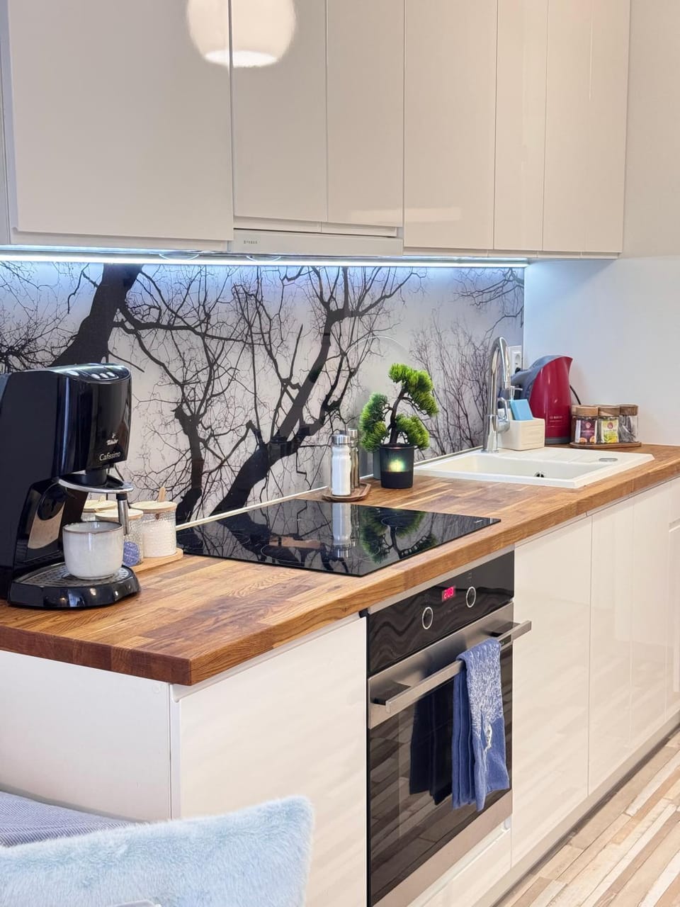 Coffee/tea facilities, Kitchen or kitchenette, dishwasher, pet friendly, stove, toaster