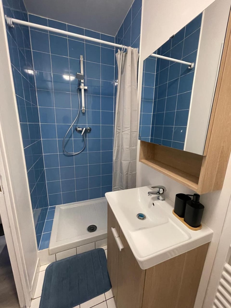 Charming studio with sleeping area near Paris et Disneyland Apartment in Saint-Maur-des-Fossés