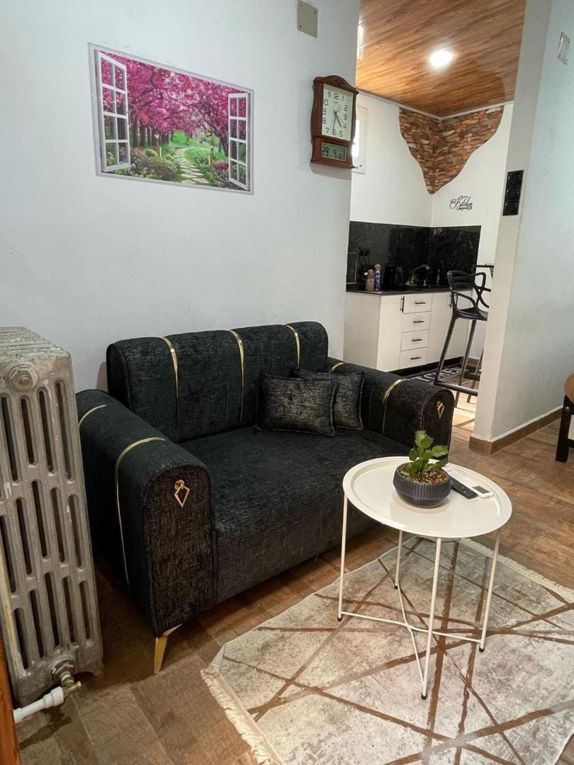 Petit studio magnifique Apartment in Algeria