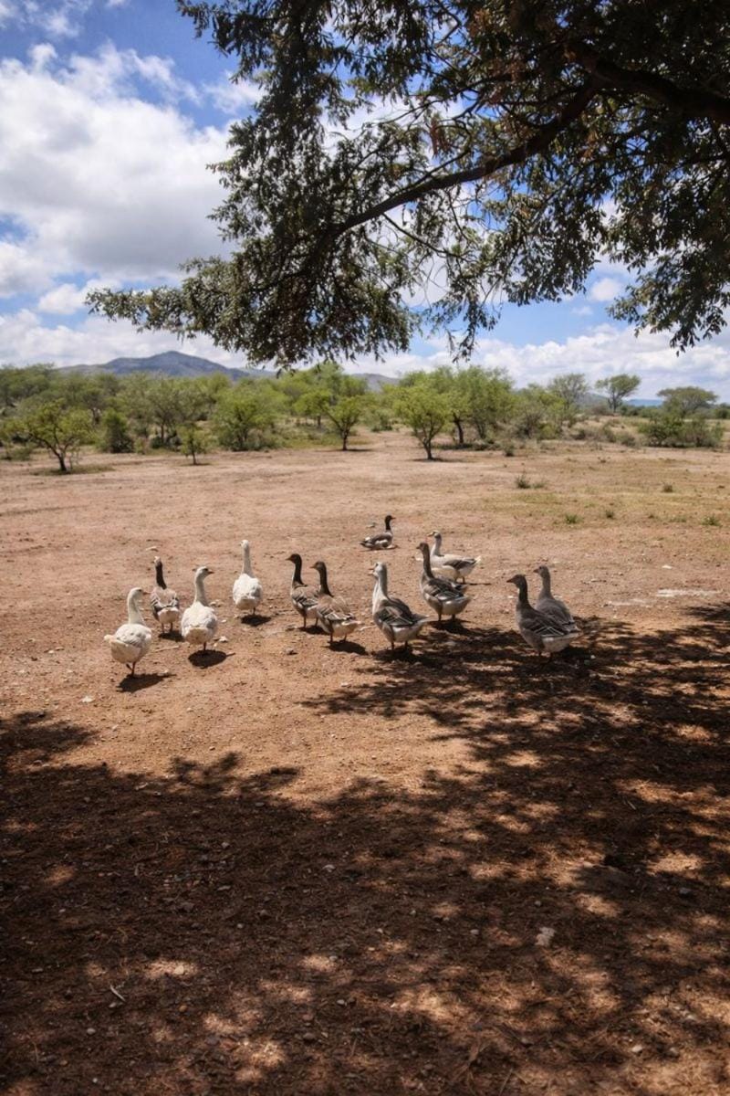 Real Casa De Campo Valle Hermoso La Falda Pet Friendly House in Cordoba Province