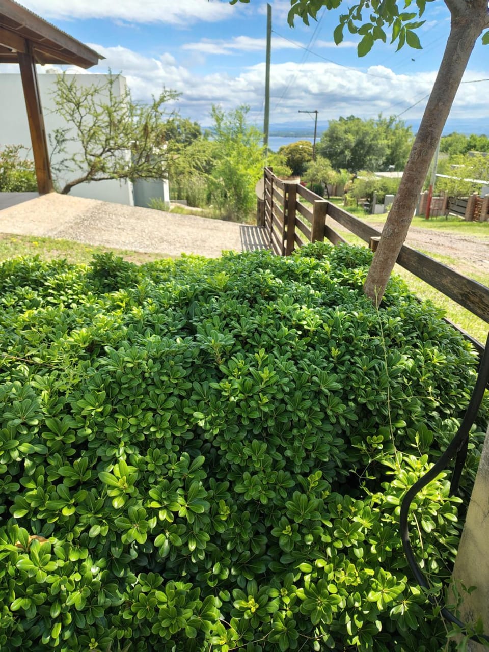 Garden, Mountain view