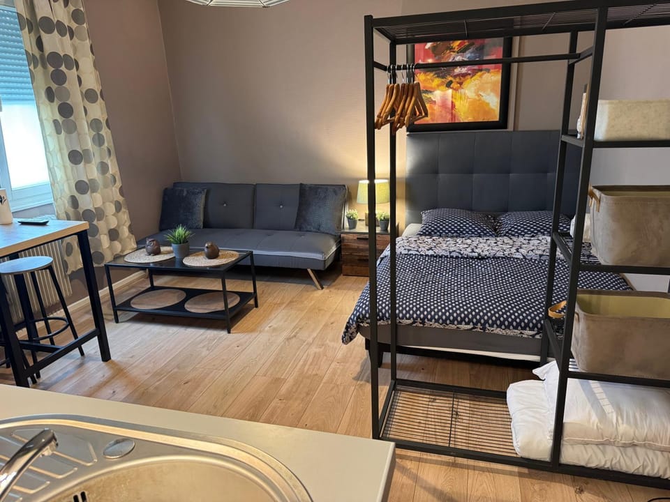 Studio Mulhouse Apartment in Mulhouse