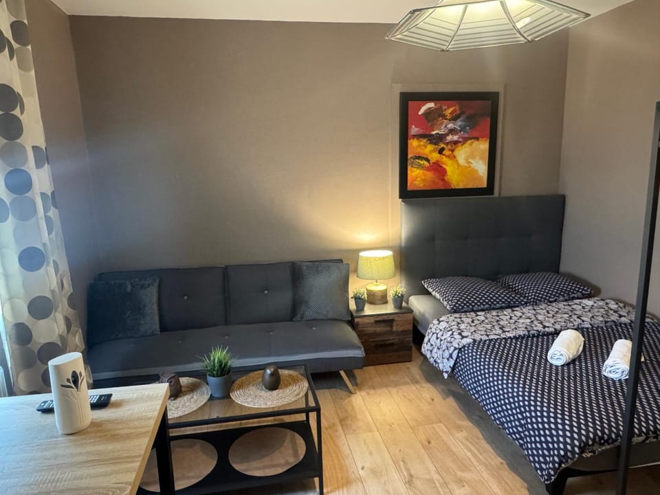 Studio Mulhouse Apartment in Mulhouse