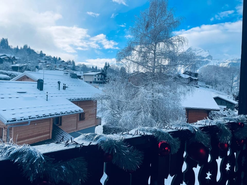Duplex with fantastic view 3 bedrooms 7-9 pers Apartment in Arâches-la-Frasse