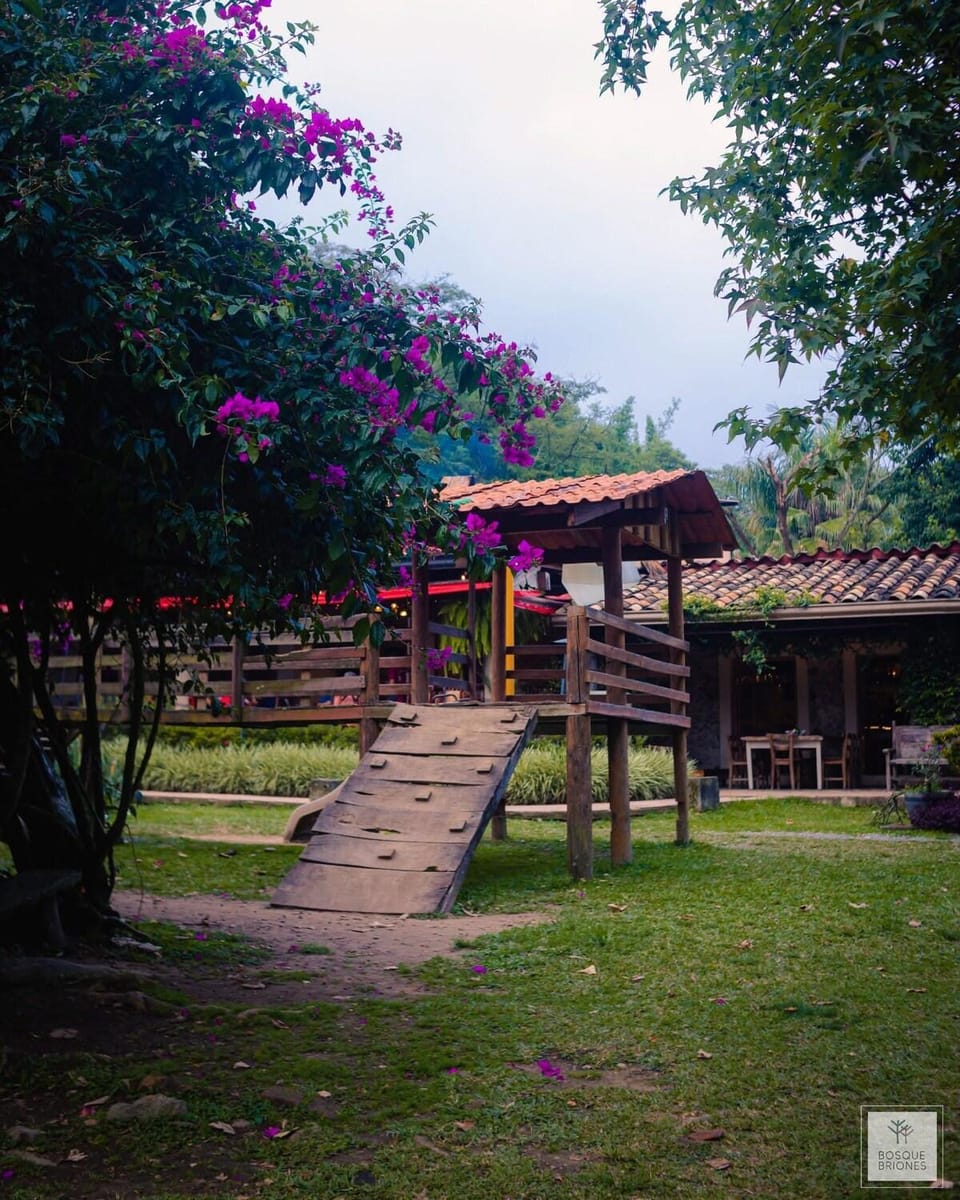 Cozy apartment near the Bosque de Niebla Apartment in Xalapa