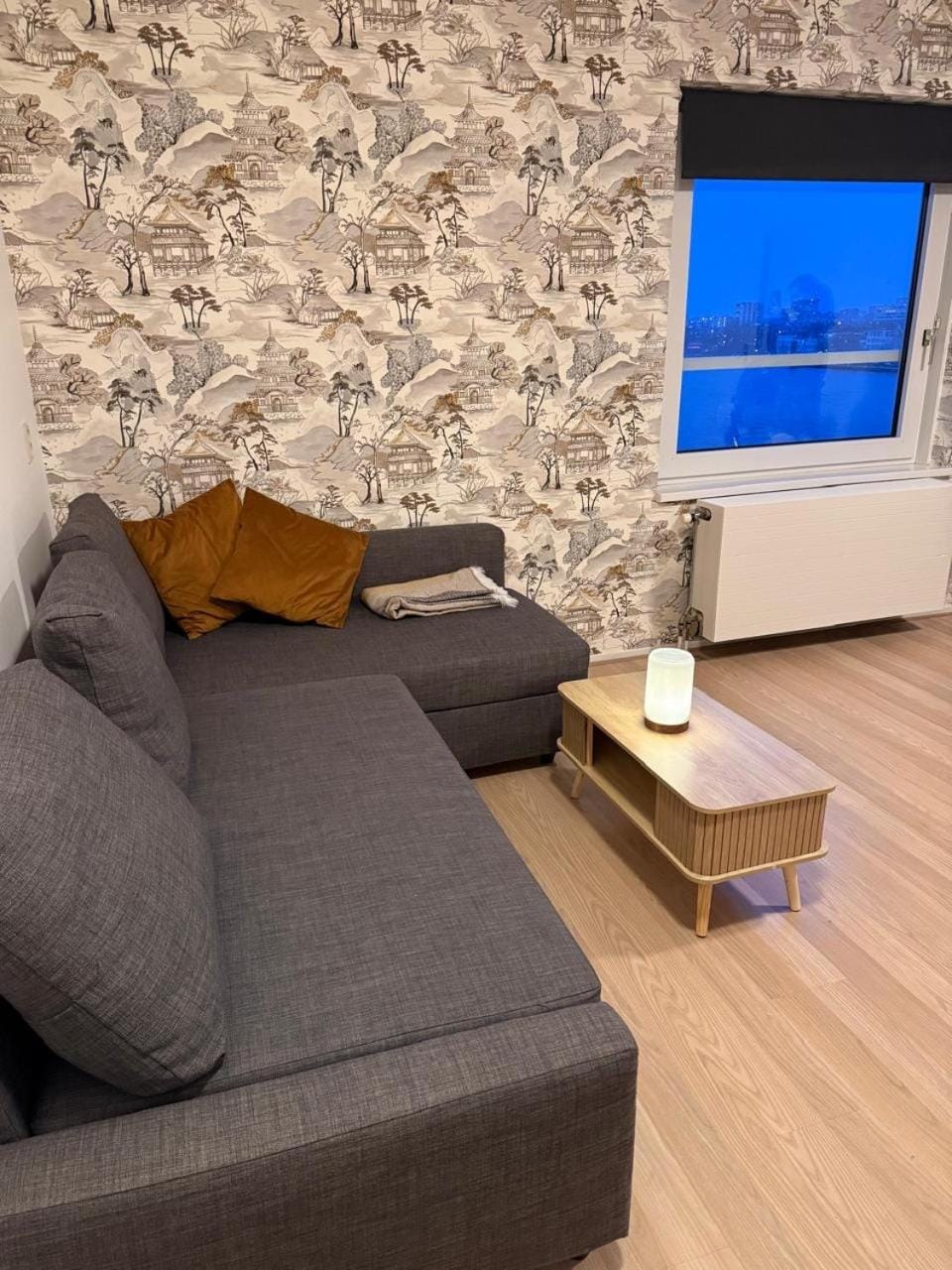 1 bedroom appartement in the center of Rotterdam Apartment in Rotterdam