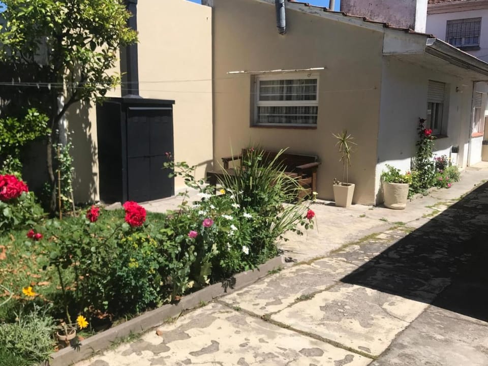 Property building, Garden view