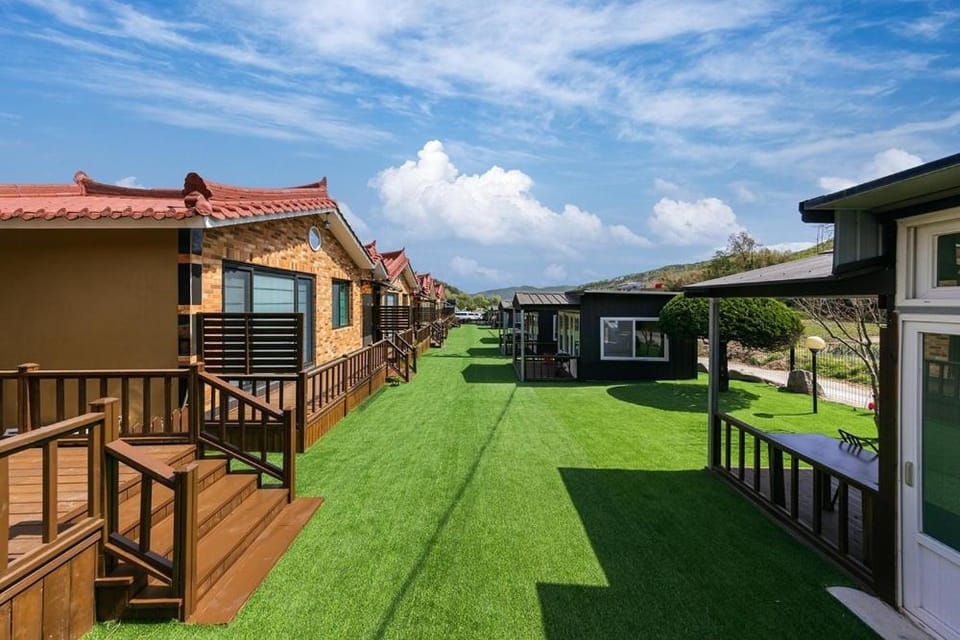 Gyeongju Helper Dog Pet Pension Bed and Breakfast in South Korea