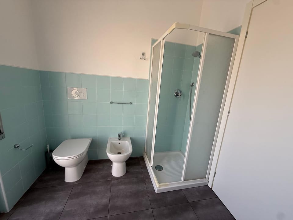 Shower, Toilet, Bathroom, bidet