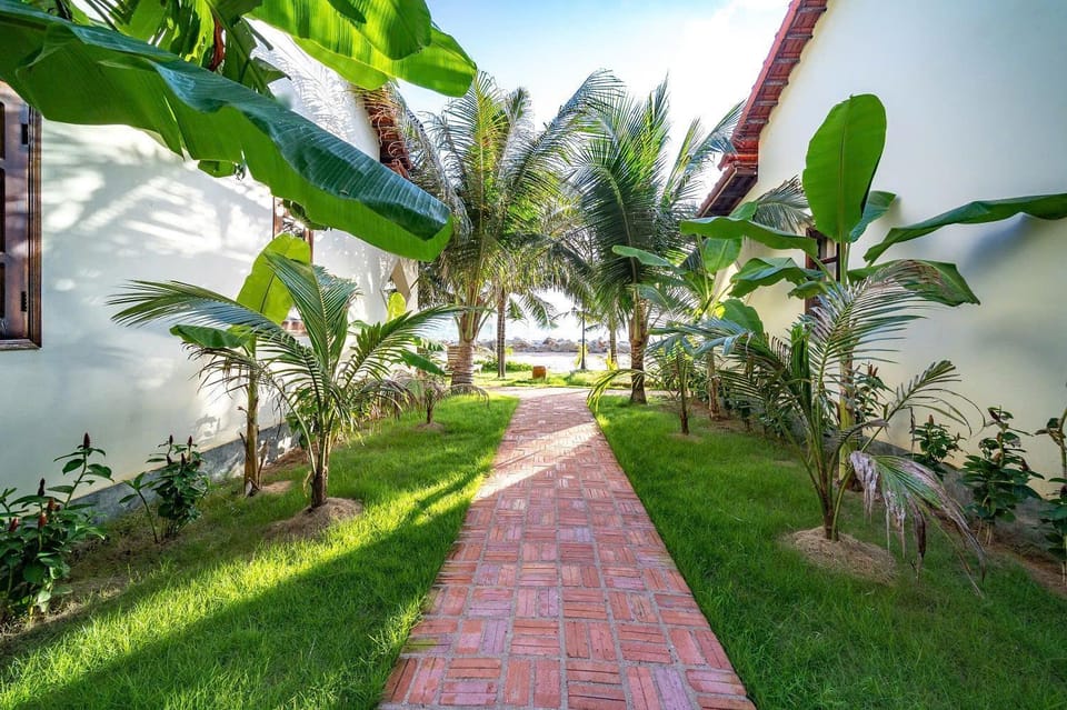 Natural landscape, Garden, Garden, Garden view