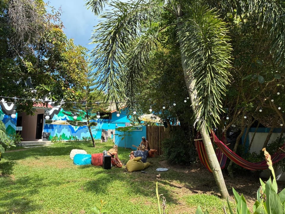 Garden view