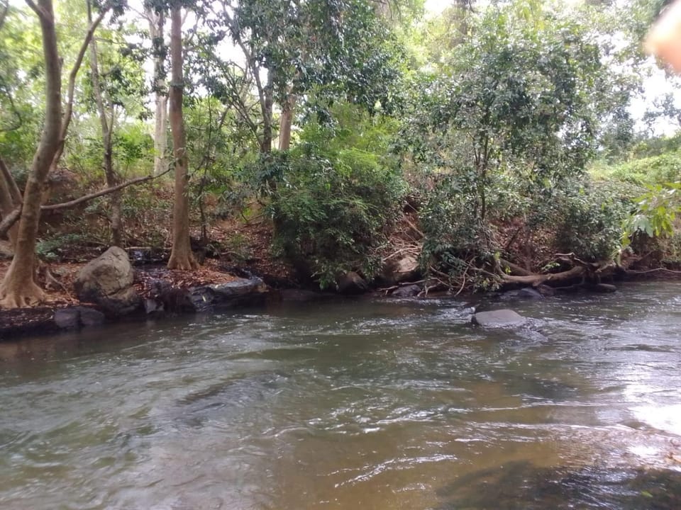 ANGAMMEDILLA resort Resort in Sri Lanka