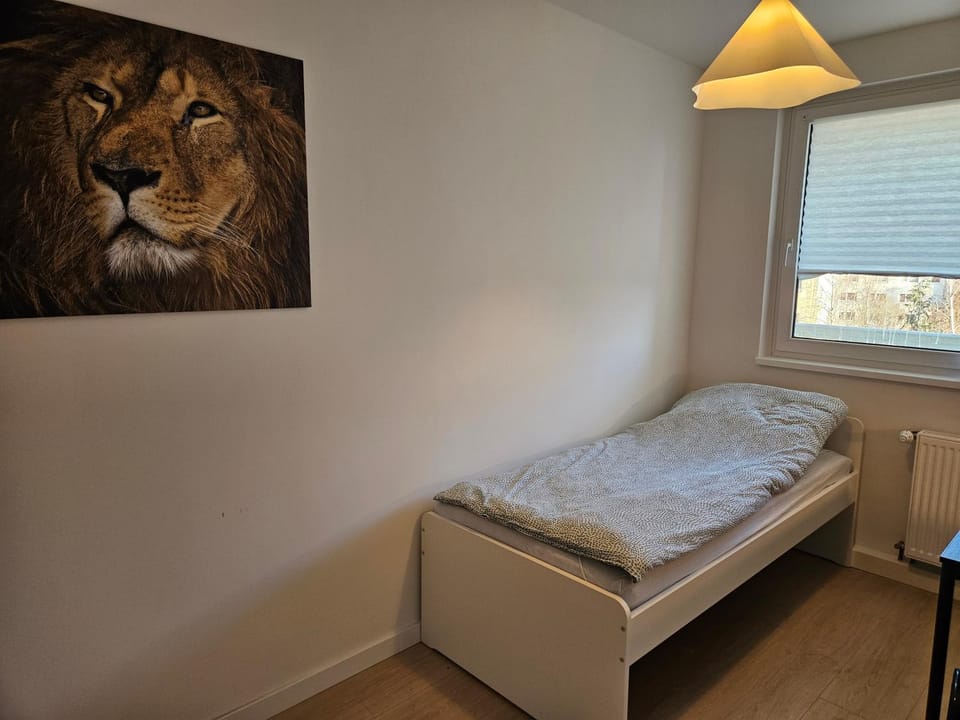 Bed, Photo of the whole room, Bedroom