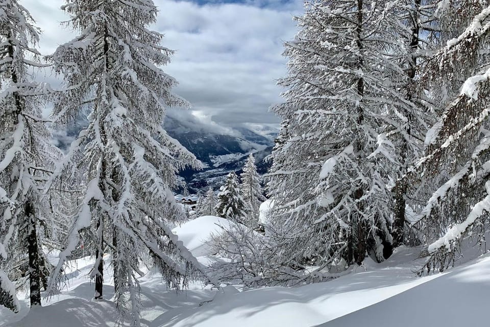Winter
