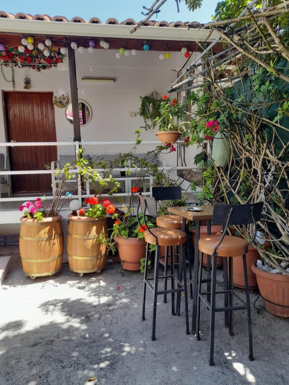 Iliada Skiathos rooms Bed and Breakfast in Skiathos