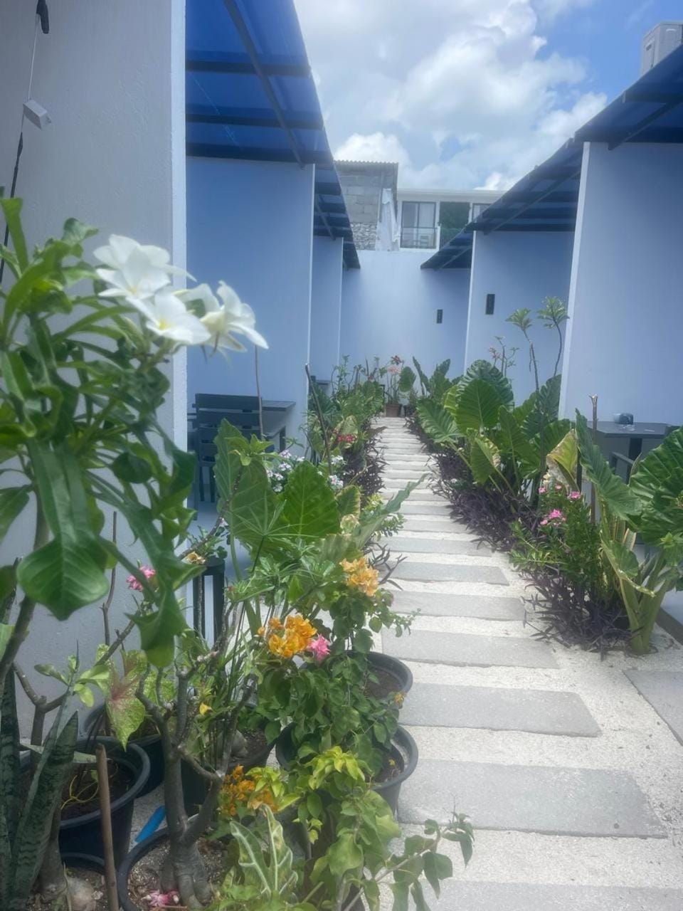 Garden, Garden view