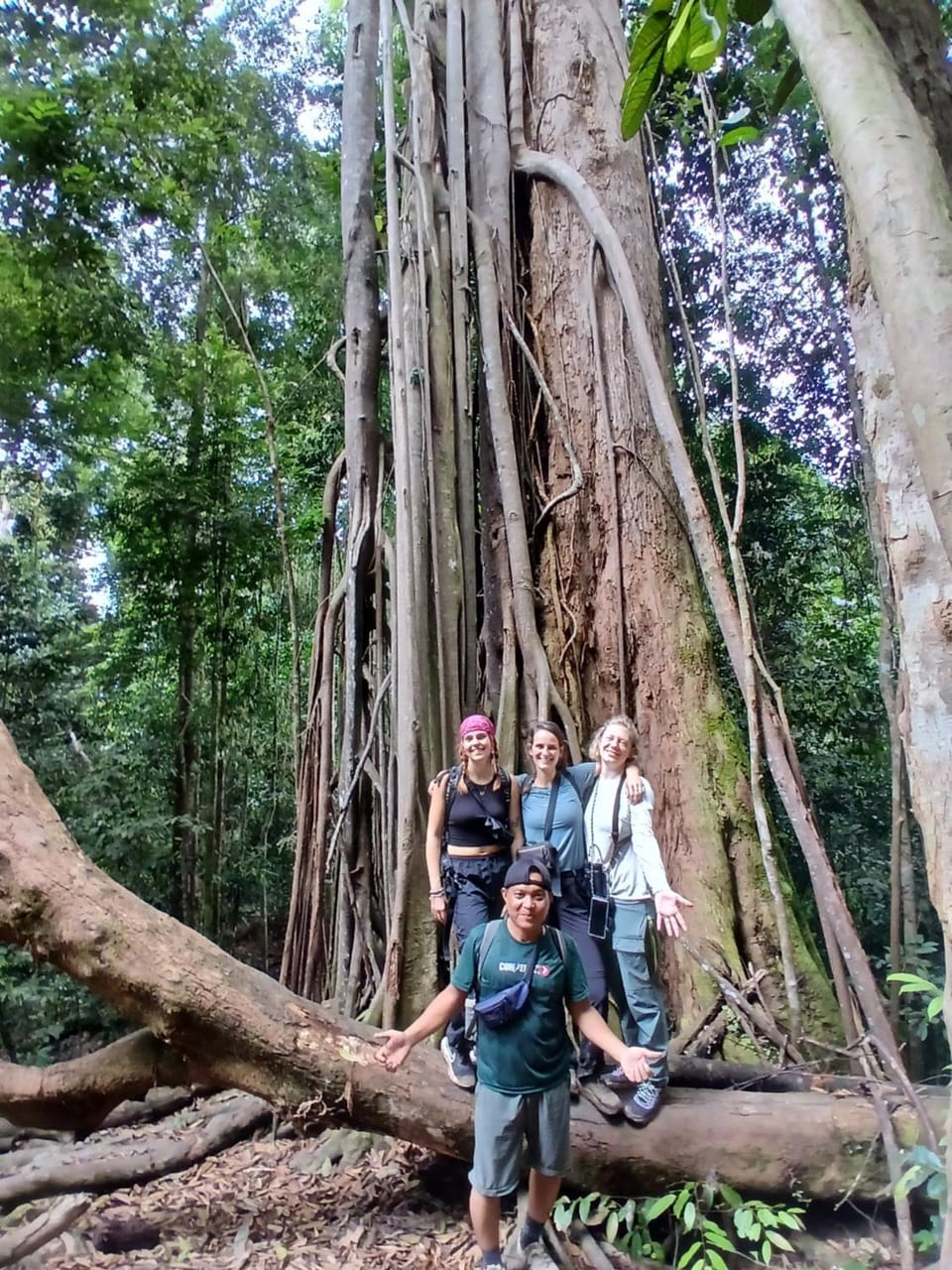Orangutan Inn Bed and Breakfast in Indonesia